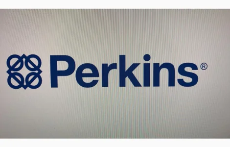 Запчасти на двигатель Perkins