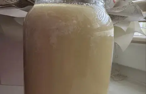 Липовый мед с собственной пасеки