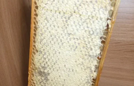 Медовые соты в рамках