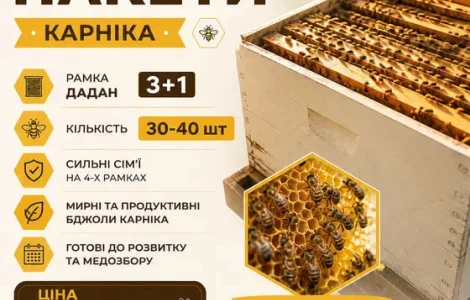 Продам пчелопакеты Карника