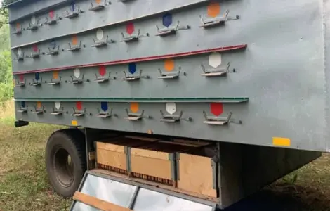Продам теміново Бжоло Бізнес, Бджолопавільон