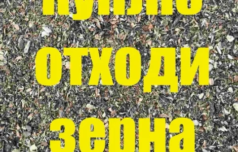 Куплю зерно некондицію отходи зерна соняшника соі
