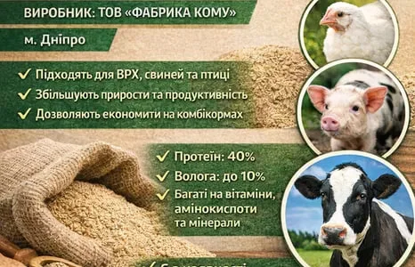 Дрожжи кормовые, Дріжджі кормові