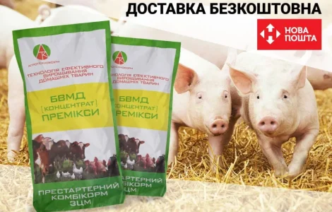 БМВД для свиней от производителя