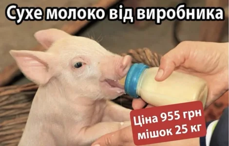 Корм сухе молоко для поросят телят БМВД