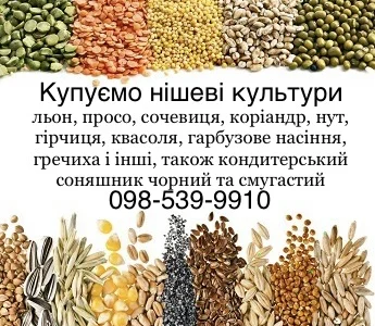 Купим всі нішеві культури і кондитерський соняшник