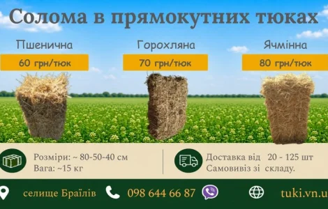 Солома пшенична, ячмінна, горохляна в тюках 2026