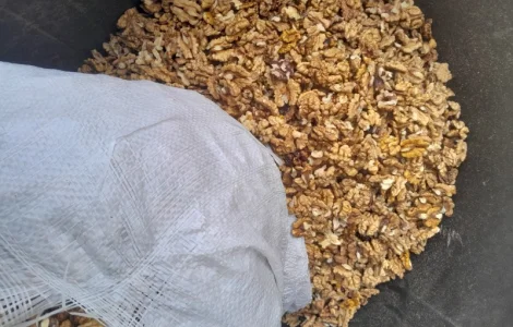 Продам світлий мікс