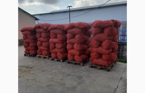 Продам горіх бойний