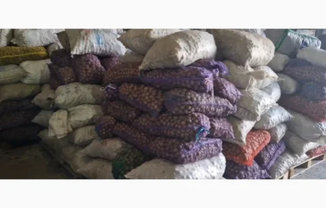 Продам горіх волоський