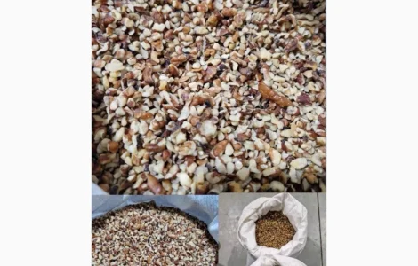 Продам 1/8 грецкого ореха