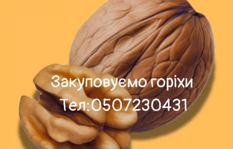 Горіх куплю