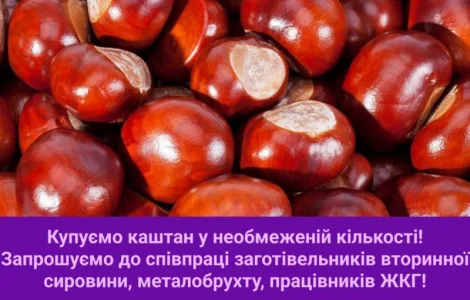 Закупаем каштаны в неограниченном количестве (целые без плесени)