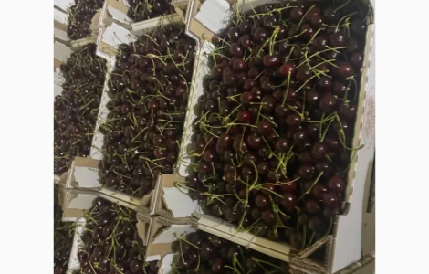 Продам черешню очень сладкая