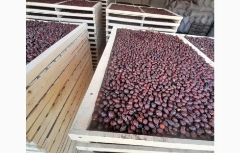 Продам сухую шиповник