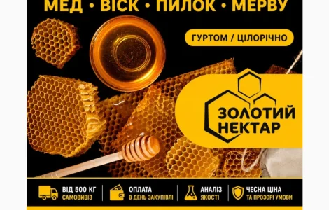 Купуємо мед оптом