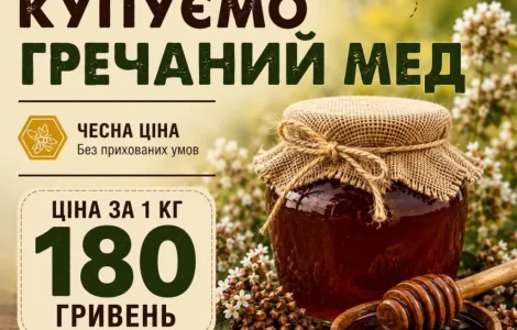 Купуємо гречаний мед