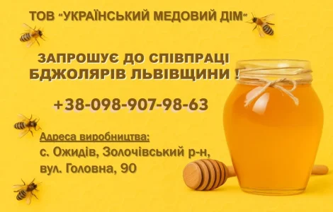 Закуповуємо мед оптом по Львівській області