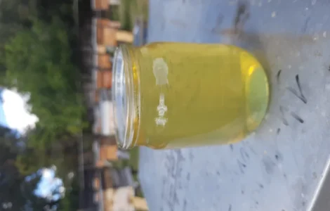 Продам липовый мед оптом