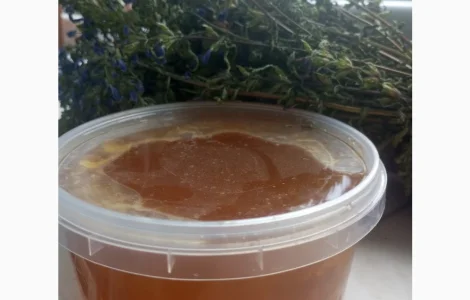 Продам мед та продукти бджільництва