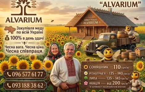 Купаем мед оптом
