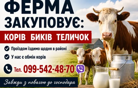 Фермерское хозяйство закупает ВРХ