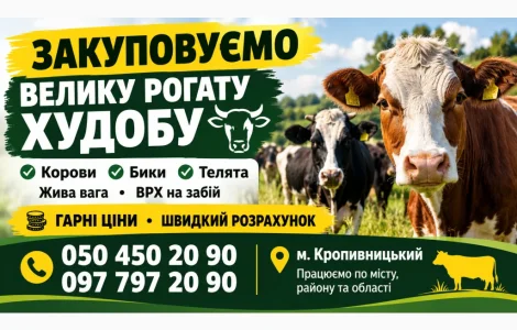 Закуповуємо ВРХ