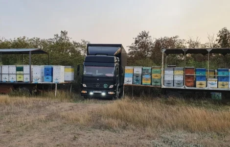 Предприятие Медовый Стандарт покупает мед