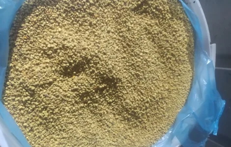 Продам бджолиний пилок