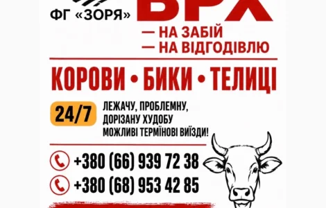 Закупівля ВРХ