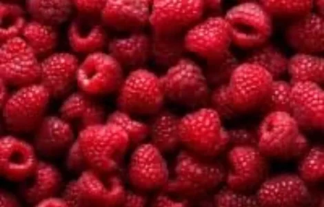 Куплю свіжу малину урожай 2026