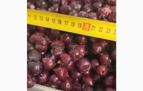 Продаємо заморожену вишню без кісточки. Гурт від 20 тонн