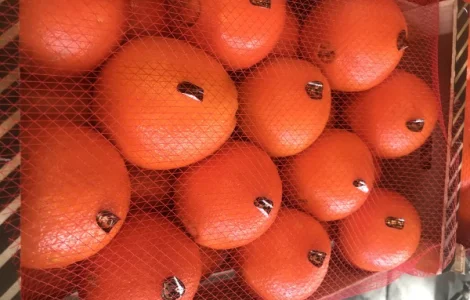 Продаем апельсины