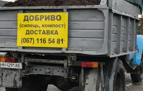 Продаём сипец