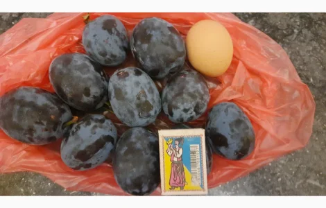 Продам сливы