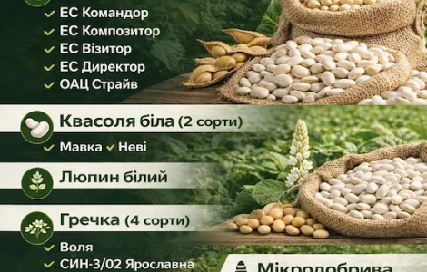 Сертифіковане насіння різних польових культур та мікродобрива