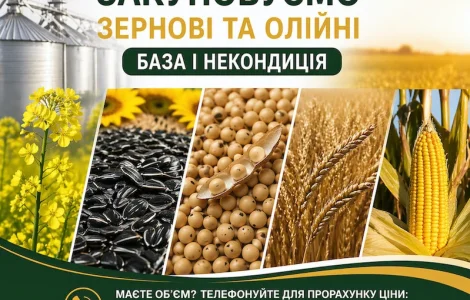 Закупівля зернових та олійних культур (база та некондиція)