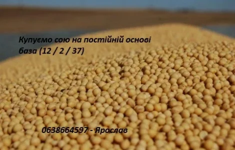 КУПУЕМ СОЮ на постоянной основе (база)