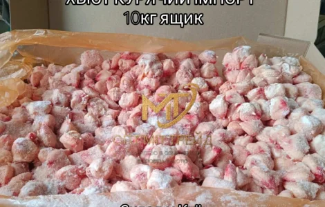 Хвіст курячий