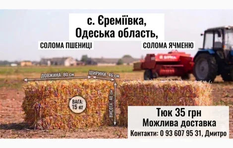 Солома в тюках (пшенична
