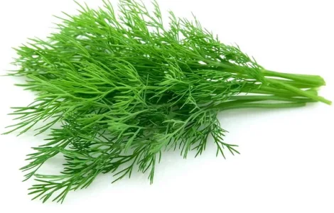 Куплю кріп