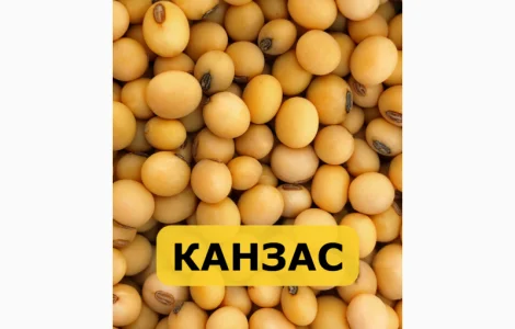 Семена сои Канзас