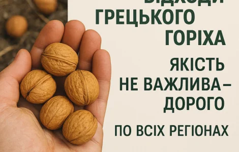 Швидко купим відходи грецького горіха
