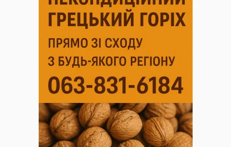 Купим некондиционный грецкий орех