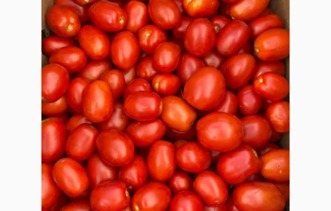 Продам помидор