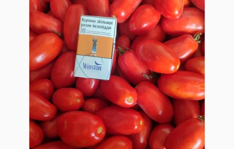 Продам помидоры