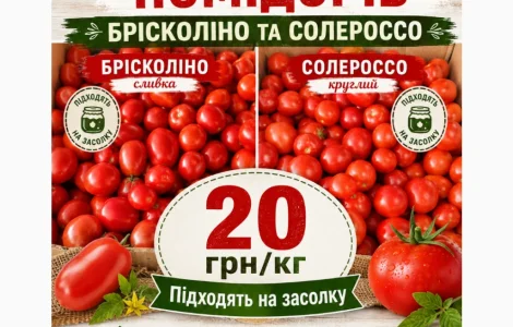 Опт. свіжі помідори брісколіно та солероссо - партія 1–1