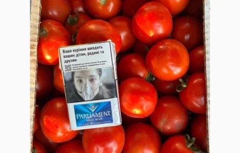 Продам помідор сорт Асвон
