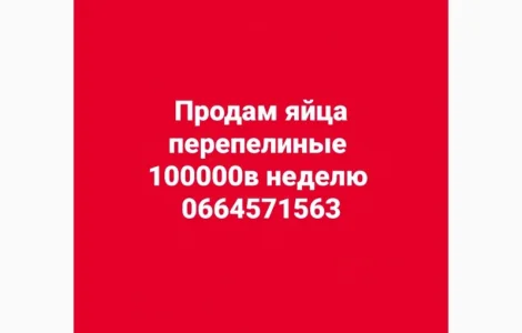Продам яйца перепелиные оптом