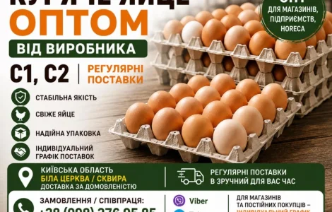 КУРЯЧЕ ЯЙЦЕ ОПТОМ ВІД ВИРОБНИКА С1